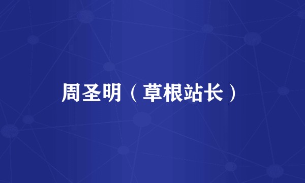 周圣明（草根站长）