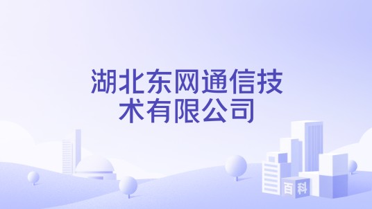 湖北东网通信技术有限公司