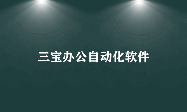 三宝办公自动化软件