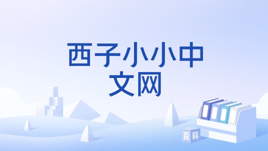 西子小小中文网