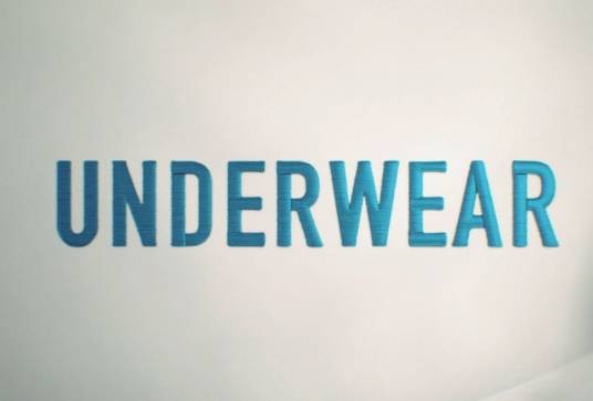 Underwear(桐谷美玲主演的一部电视剧)