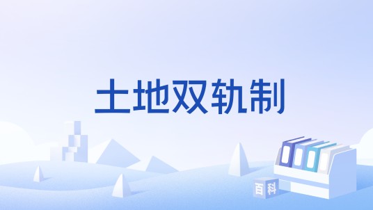 土地双轨制