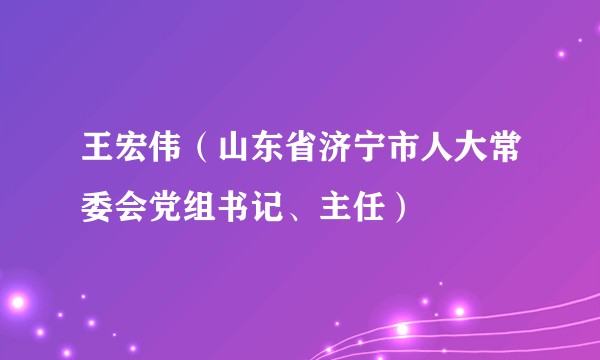 王宏伟（山东省济宁市人大常委会党组书记、主任）