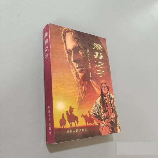 晨星之子（1995年陕西人民出版社出版的图书）
