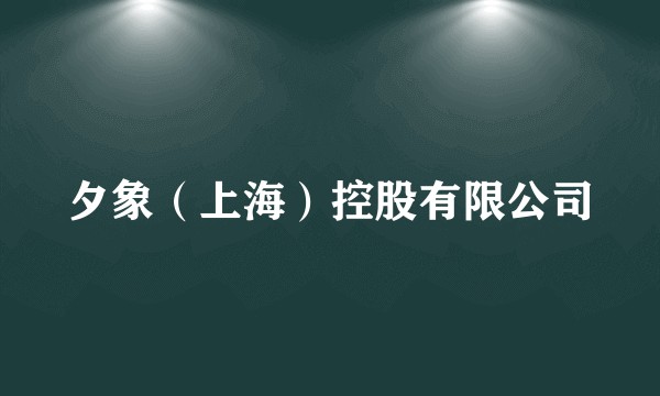 夕象（上海）控股有限公司