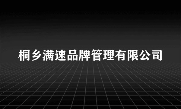 桐乡满速品牌管理有限公司