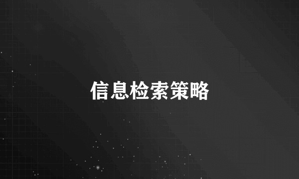 信息检索策略