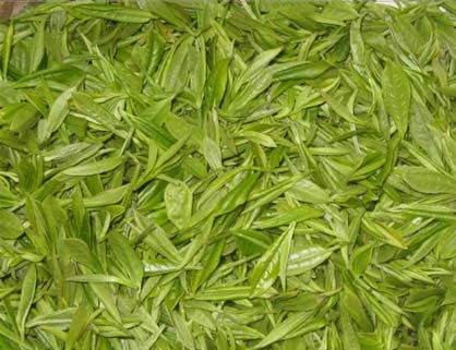 半发酵茶