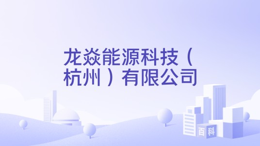 龙焱能源科技（杭州）有限公司