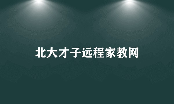 北大才子远程家教网