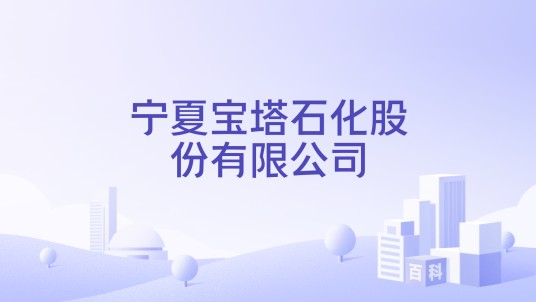 宁夏宝塔石化股份有限公司