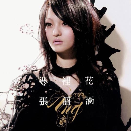 C大调（2007年张韶涵演唱的歌曲）