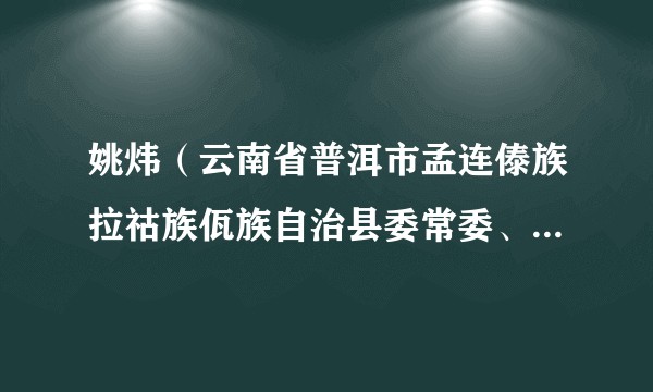 姚炜（云南省普洱市孟连傣族拉祜族佤族自治县委常委、县人民政府副县长）
