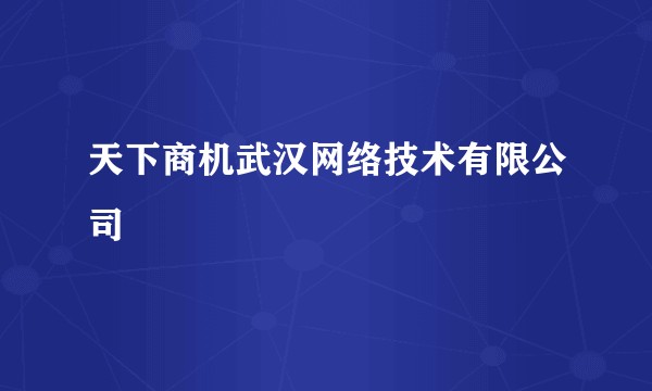 天下商机武汉网络技术有限公司
