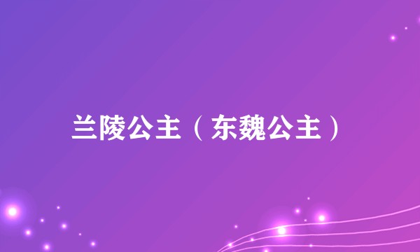 兰陵公主（东魏公主）