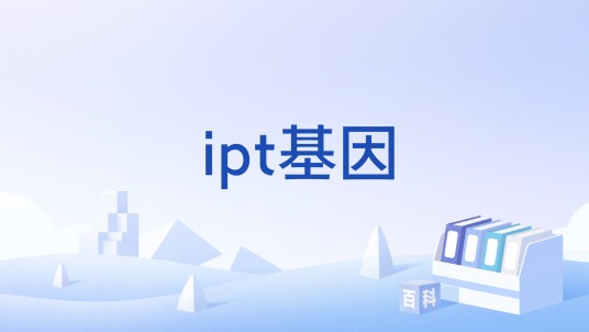 ipt基因
