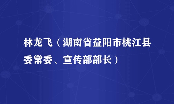 林龙飞（湖南省益阳市桃江县委常委、宣传部部长）