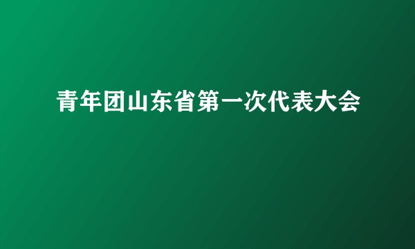 青年团山东省第一次代表大会