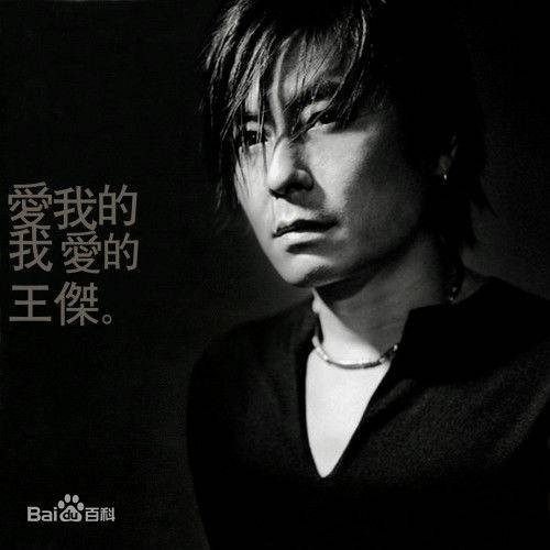 你把我灌醉(2003年王杰演唱的歌曲)