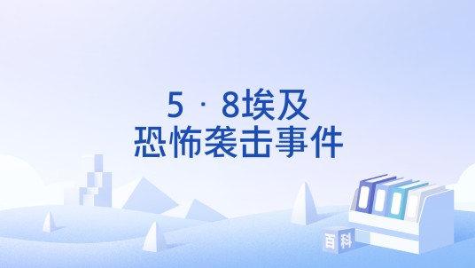 5·8埃及恐怖袭击事件