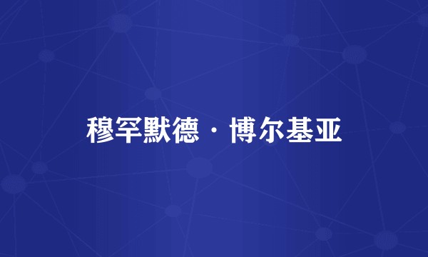 穆罕默德·博尔基亚