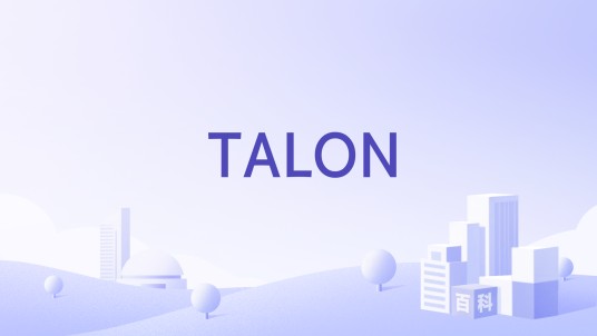 TALON（美国拉链品牌）
