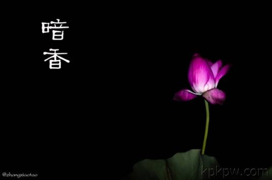 暗香（词牌名）