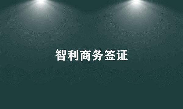 智利商务签证