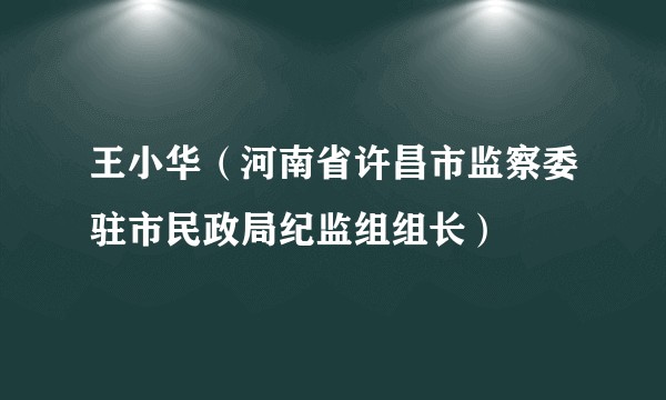 王小华（河南省许昌市监察委驻市民政局纪监组组长）