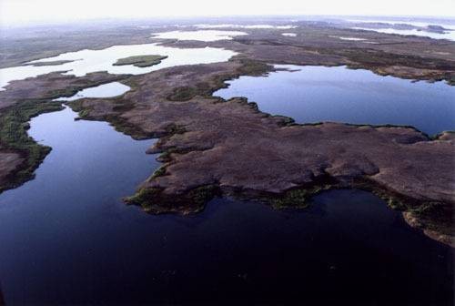 乌伦古湖和吉力湖湿地