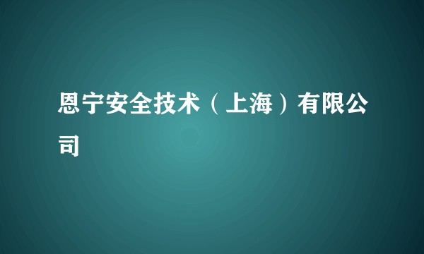 恩宁安全技术（上海）有限公司
