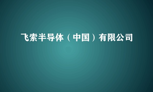 飞索半导体（中国）有限公司