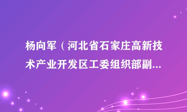 杨向军（河北省石家庄高新技术产业开发区工委组织部副部长、人社局副局长、党组成员、纪检组组长）