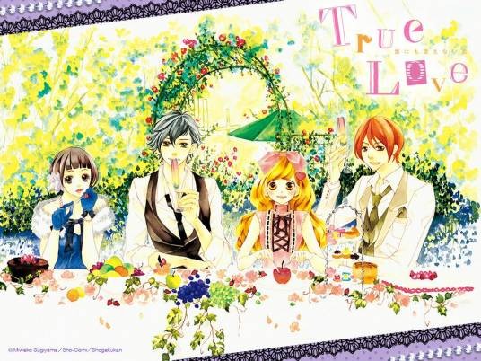 True Love(杉山美和子作画的漫画)