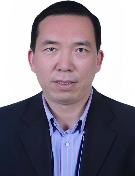 王辅臣（华东理工大学教授）