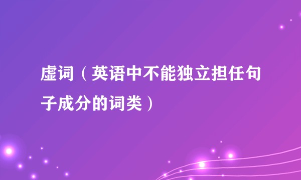 虚词（英语中不能独立担任句子成分的词类）