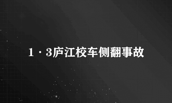 1·3庐江校车侧翻事故