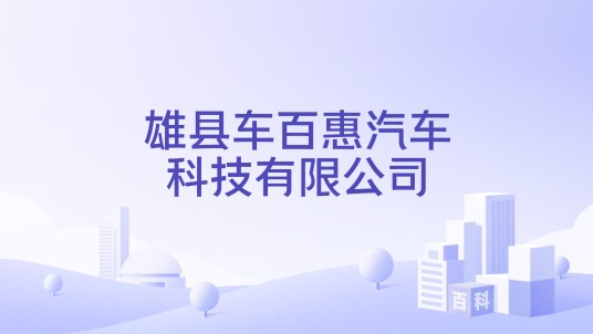 雄县车百惠汽车科技有限公司