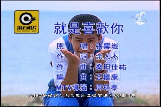 就是喜欢你（张震岳演唱歌曲）