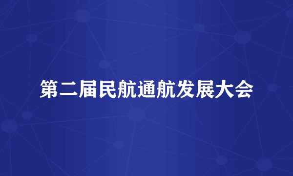 第二届民航通航发展大会
