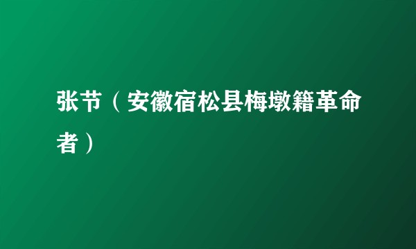 张节(安徽宿松县梅墩籍革命者)