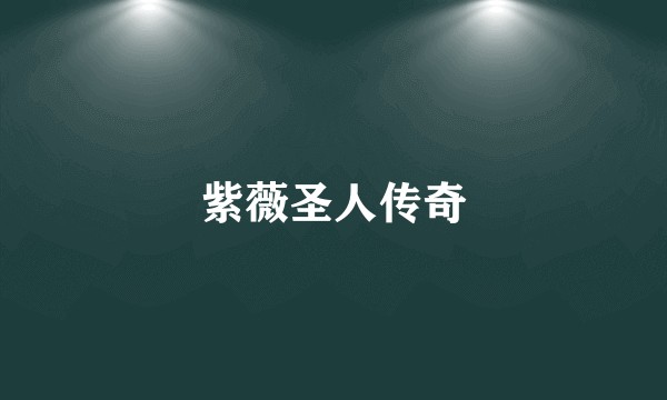 紫薇圣人传奇