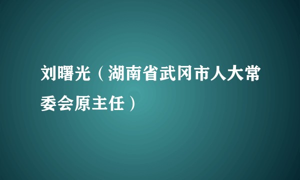 刘曙光（湖南省武冈市人大常委会原主任）