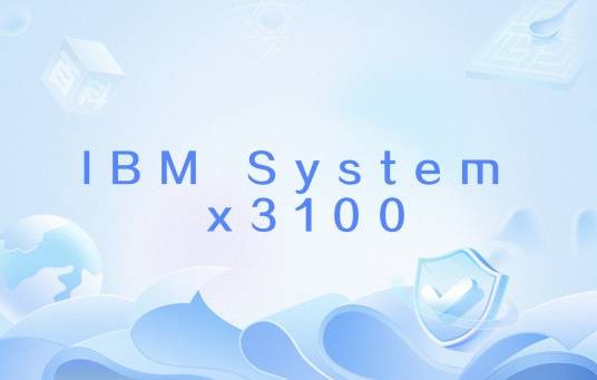 IBM System x3100