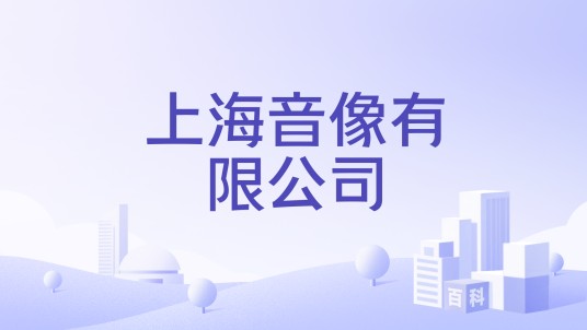 上海音像有限公司