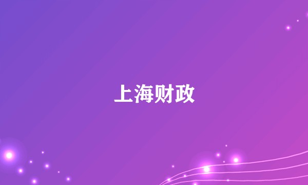 上海财政