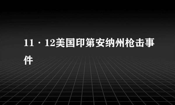 11·12美国印第安纳州枪击事件