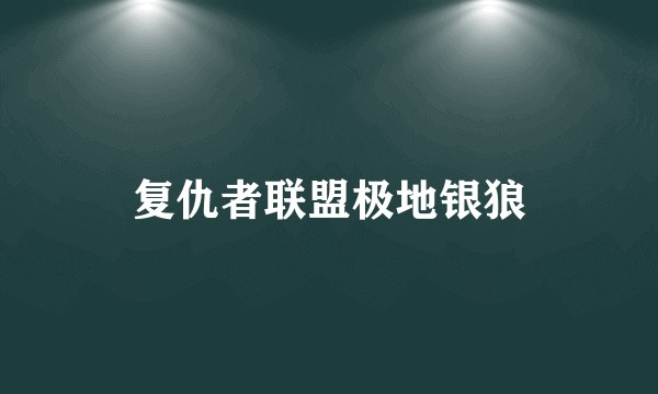 复仇者联盟极地银狼