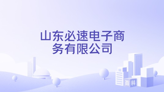 山东必速电子商务有限公司