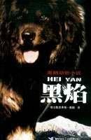 黑焰（2006年接力出版社出版的图书）